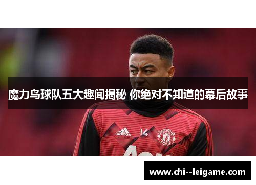 魔力鸟球队五大趣闻揭秘 你绝对不知道的幕后故事